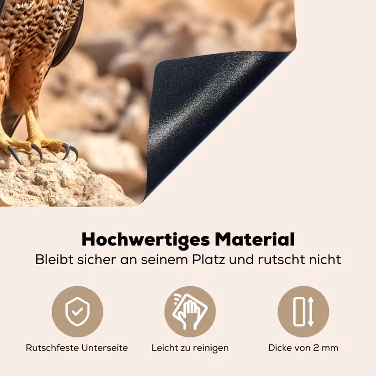 Valk - Vogel - Rots - Macht Inductie beschemer met haakjes klein -ky-onderkant-de