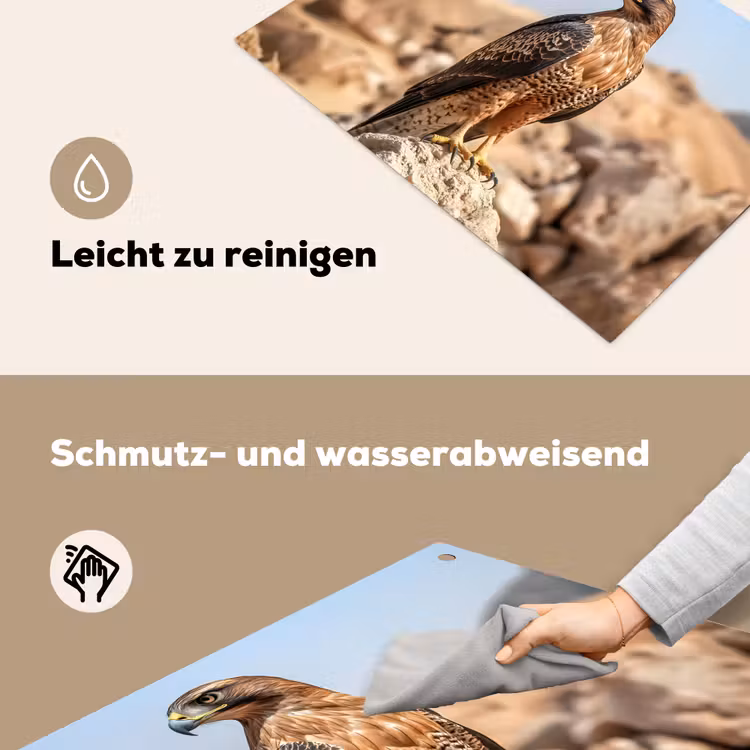 Valk - Vogel - Rots - Macht Inductie beschemer met haakjes klein -ky-schoon-de