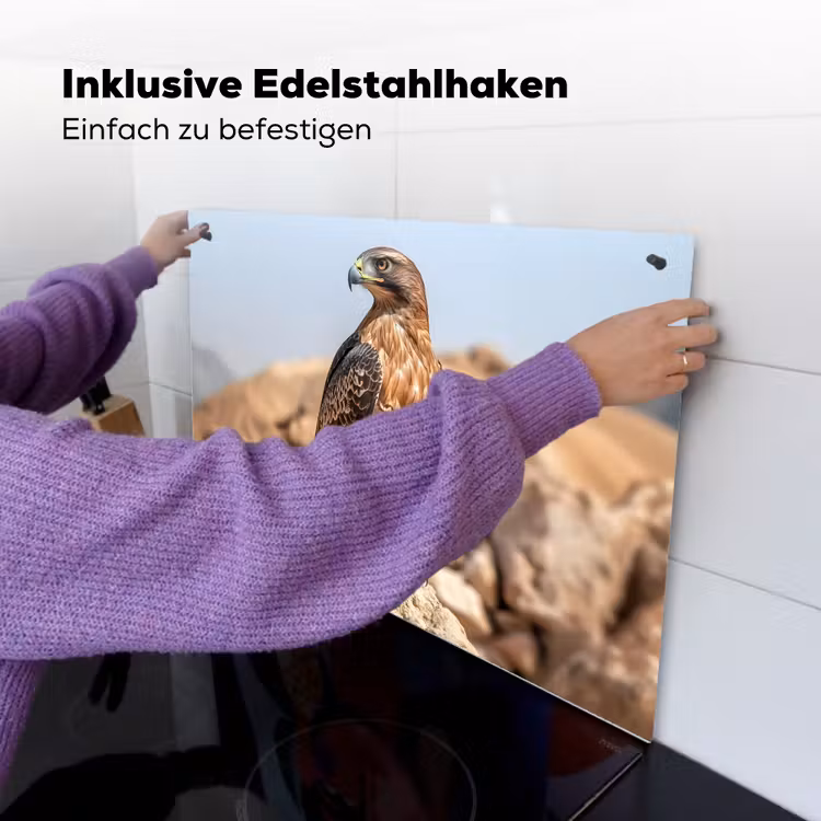 Valk - Vogel - Rots - Macht Inductie beschemer met haakjes klein -ky-ophangen-de