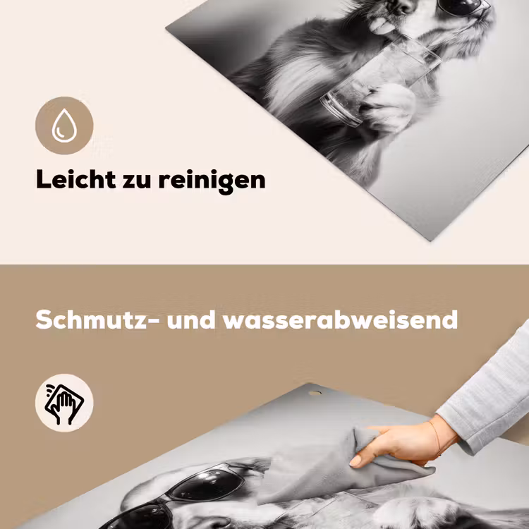Golden retriever - Hond - Zonnebril - Gkas Inductie beschemer met haakjes middel -ky-schoon-de