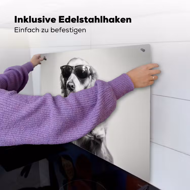 Golden retriever - Hond - Zonnebril - Gkas Inductie beschemer met haakjes middel -ky-ophangen-de