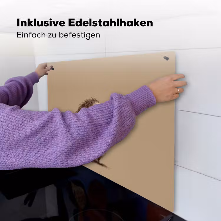Egel - Snuitje - Bruin - Stekels Inductie beschemer met haakjes middel -ky-ophangen-de