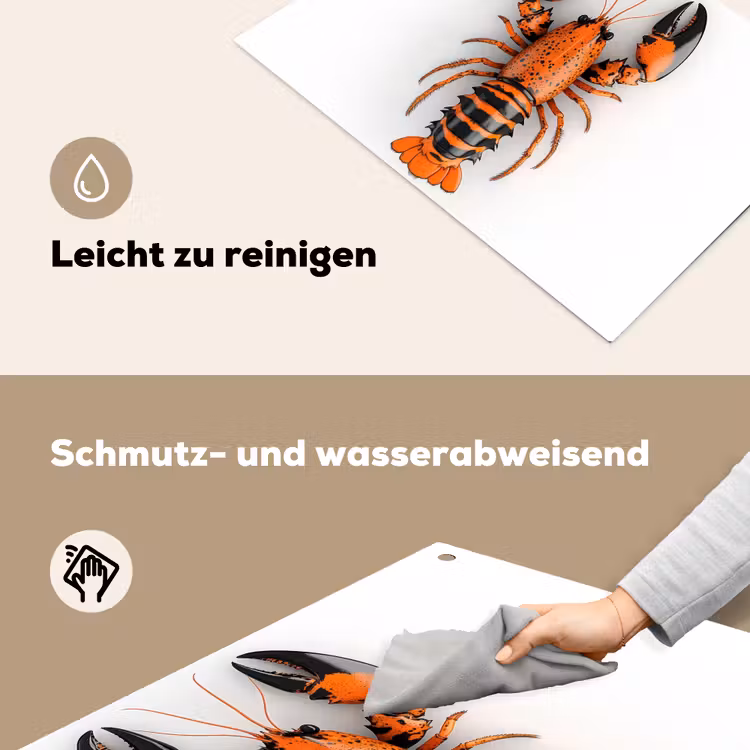 Kreeft - Zwart - Oranje - Wit - Uniek Inductie beschemer met haakjes klein -ky-schoon-de