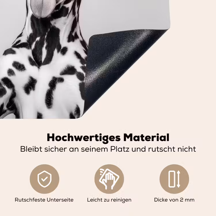 Zonnebril - Dalmatiër - Wijnglas - Tong Inductie beschemer met haakjes middel -ky-onderkant-de