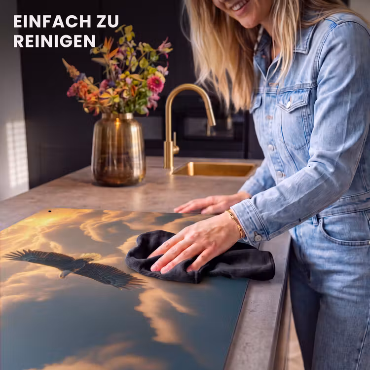 2-in-1 Herdabdeckplatte & Spritzschutz - Adler - Wolken - Sonne - Adelaar - Wolken - Zon Inductie beschemer met haakjes klein