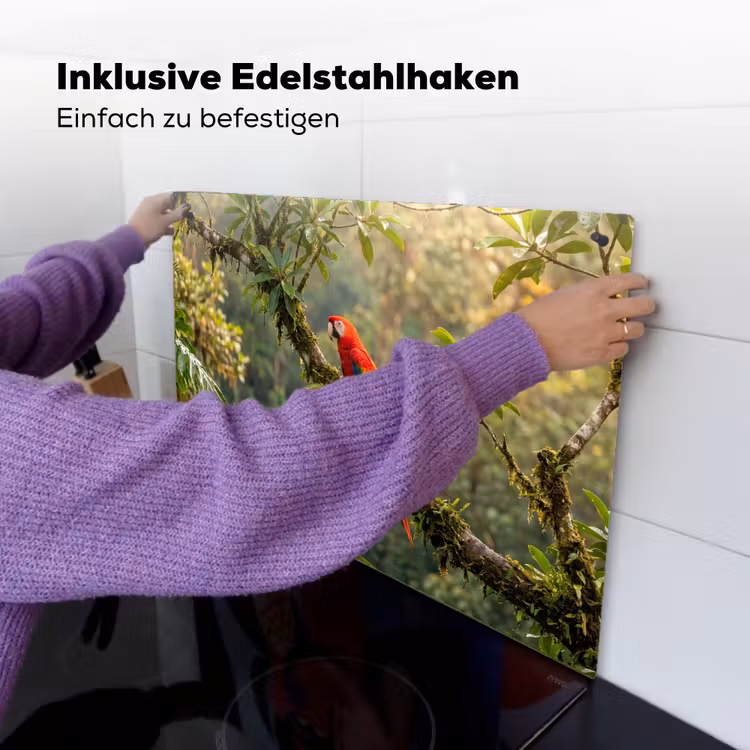 Ara - Jungle - Rood Inductie beschemer met haakjes klein -ky-ophangen-de