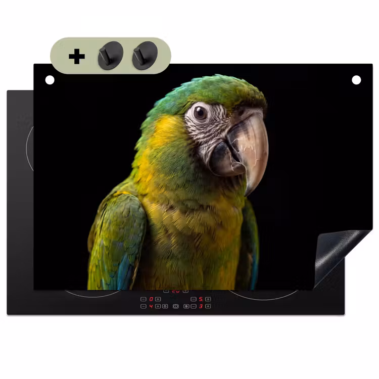 Ara - Portret - Groen Inductie beschemer met haakjes klein -3d