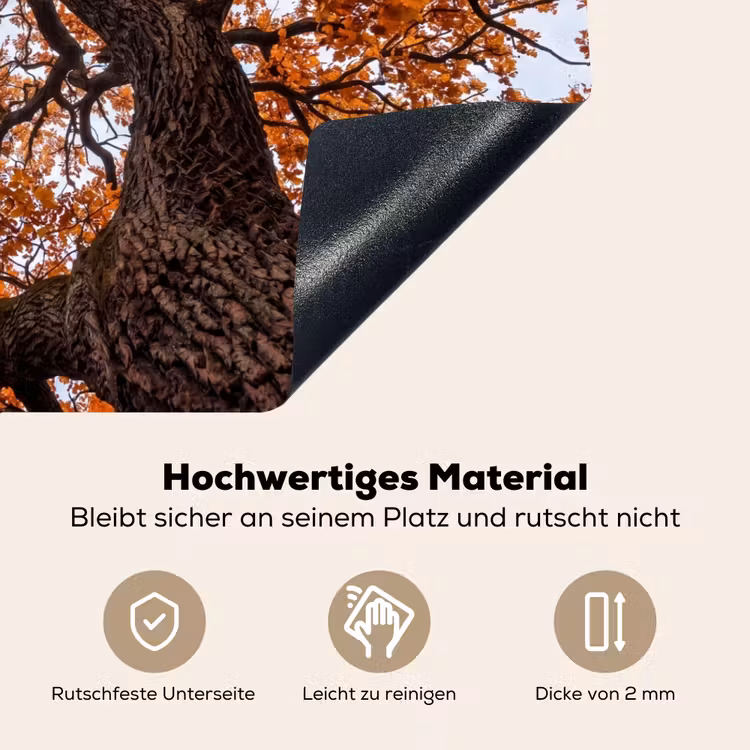 Boom - Bladerdak - Herfst - Oranje - Sfeervol Inductie beschemer met haakjes klein -ky-onderkant-de