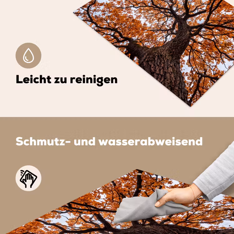 Boom - Bladerdak - Herfst - Oranje - Sfeervol Inductie beschemer met haakjes klein -ky-schoon-de