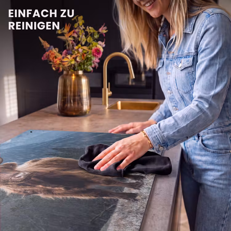 2-in-1 Herdabdeckplatte & Spritzschutz - Bergbewohner in der Abenddämmerung - Bergbewoner bij Schemering Inductie beschemer met haakjes klein