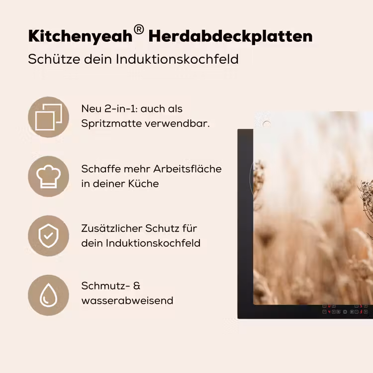 Schermbloem - Droogbloem - Winter - Beige - Minimalistisch Inductie beschemer met haakjes klein -ky-usp-de