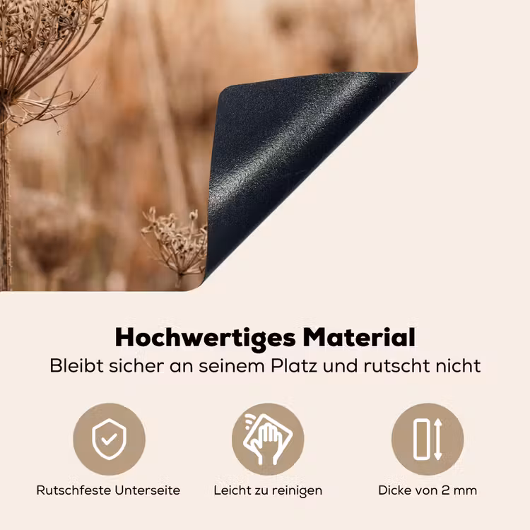 Schermbloem - Droogbloem - Winter - Beige - Minimalistisch Inductie beschemer met haakjes klein -ky-onderkant-de