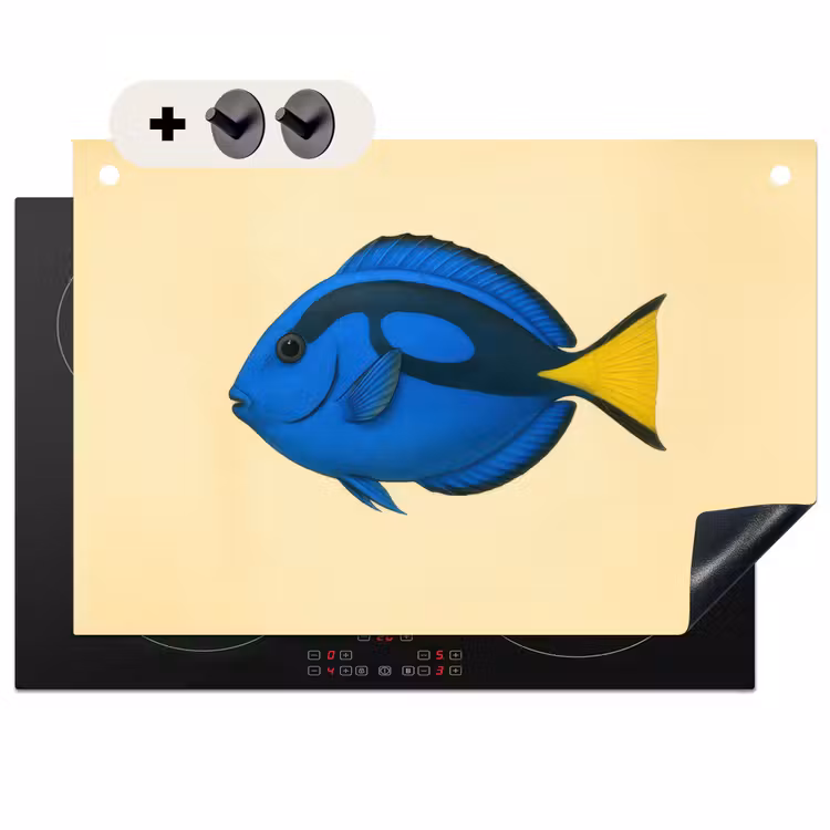 2-in-1 Herdabdeckplatte & Spritzschutz - Blau - Dory - Fisch - Schwanzflosse - Blauw - Dory - Vis - Staartvin Inductie beschemer met haakjes klein
