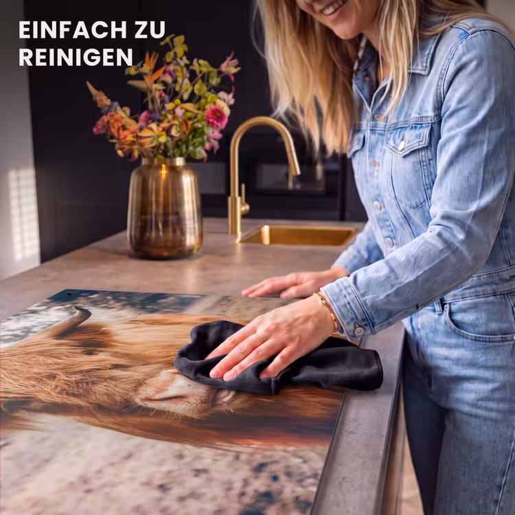 2-in-1 Herdabdeckplatte & Spritzschutz - Blick vom Rustic Giant - Blik van de Rustieke Reus Inductie beschemer met haakjes klein