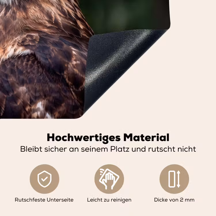 Buizerd - Roofvogel - Natuur - Bruin Inductie beschemer met haakjes klein -ky-onderkant-de