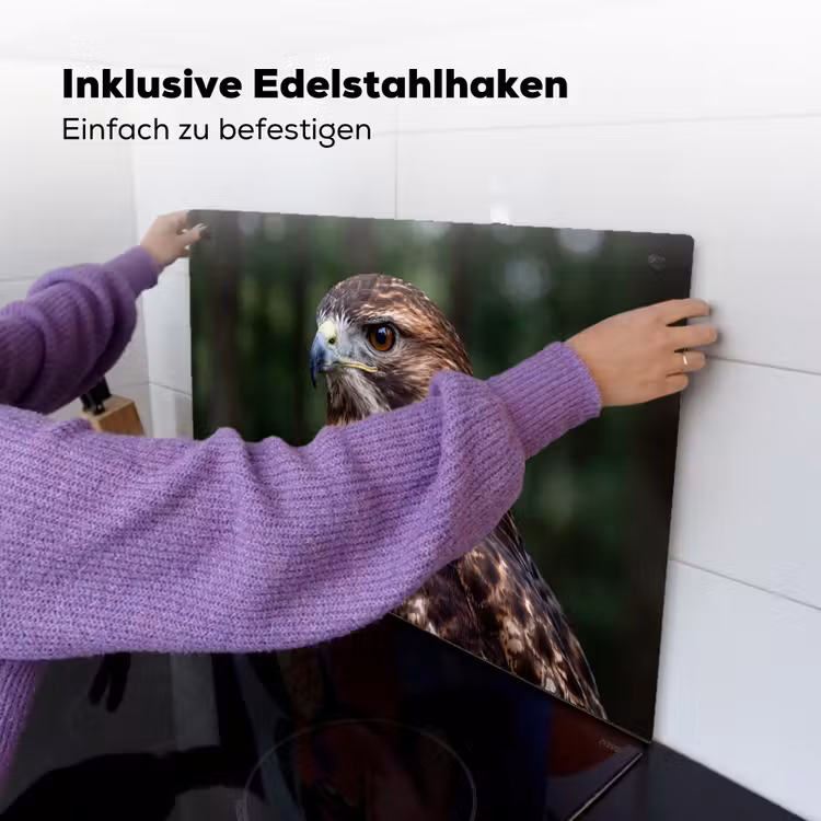 Buizerd - Roofvogel - Natuur - Bruin Inductie beschemer met haakjes klein -ky-ophangen-de