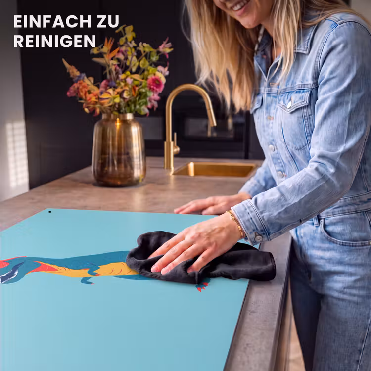 2-in-1 Herdabdeckplatte & Spritzschutz - Dinosaurier - Blau - Sonnenbrille - Dinosaurus - Blauw - Zonnebril Inductie beschemer met haakjes klein