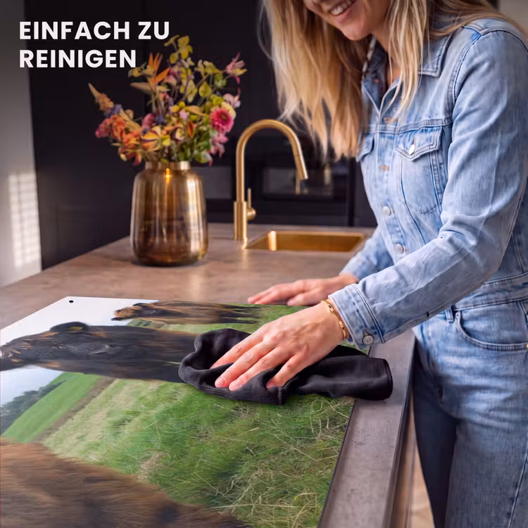 2-in-1 Herdabdeckplatte & Spritzschutz - Duo van de Weide - Duo van de Weide Inductie beschemer met haakjes klein