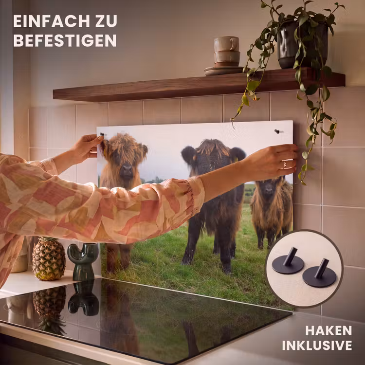 2-in-1 Herdabdeckplatte & Spritzschutz - Duo van de Weide - Duo van de Weide Inductie beschemer met haakjes klein