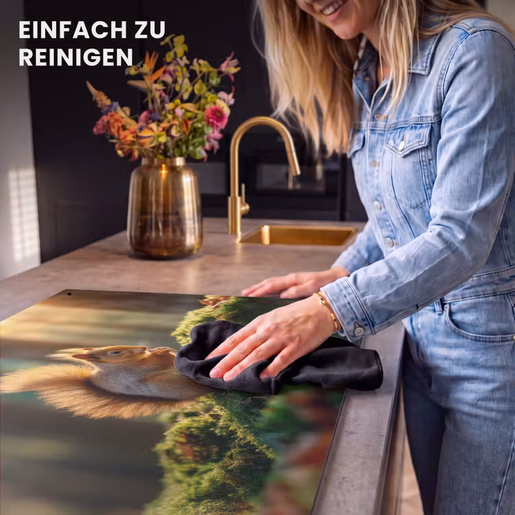 2-in-1 Herdabdeckplatte & Spritzschutz - Eichhörnchen - Nuss - Gras - Eekhoorn - Nootje - Gras Inductie beschemer met haakjes klein