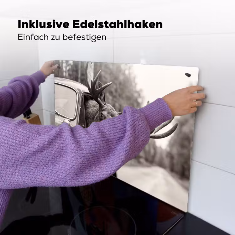 Eland - Auto - Gewei - Zwart - Wit Inductie beschemer met haakjes klein -ky-ophangen-de