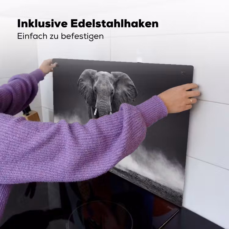 Olifant - Zwart - Wit - Rook Inductie beschemer met haakjes klein -ky-ophangen-de