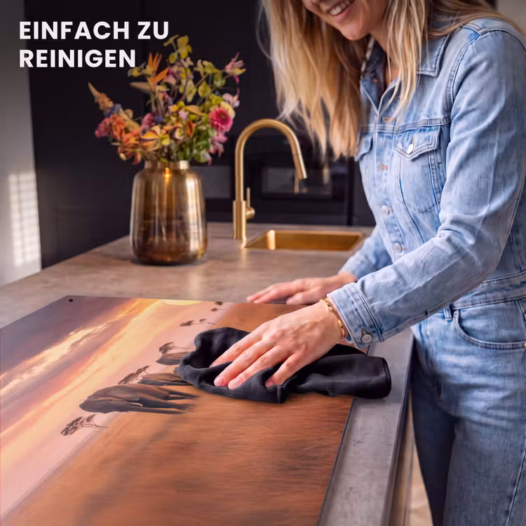 2-in-1 Herdabdeckplatte & Spritzschutz - Elefantengruppe - Offene Ebene - Sonne - Groep olifanten - Open vlakte - Zon Inductie beschemer met haakjes klein
