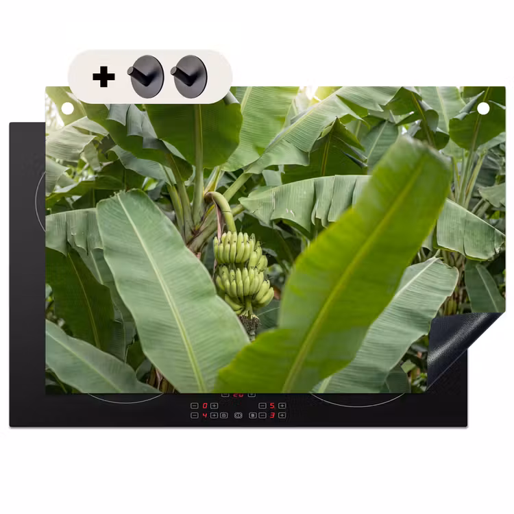 Eten - Bananen - Plantage - Groen Inductie beschemer met haakjes klein -3d