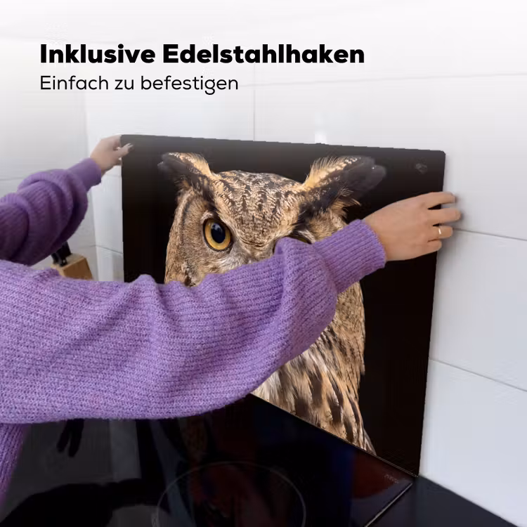 Oehoe - Uil - Portret - Bruin Inductie beschemer met haakjes klein -ky-ophangen-de