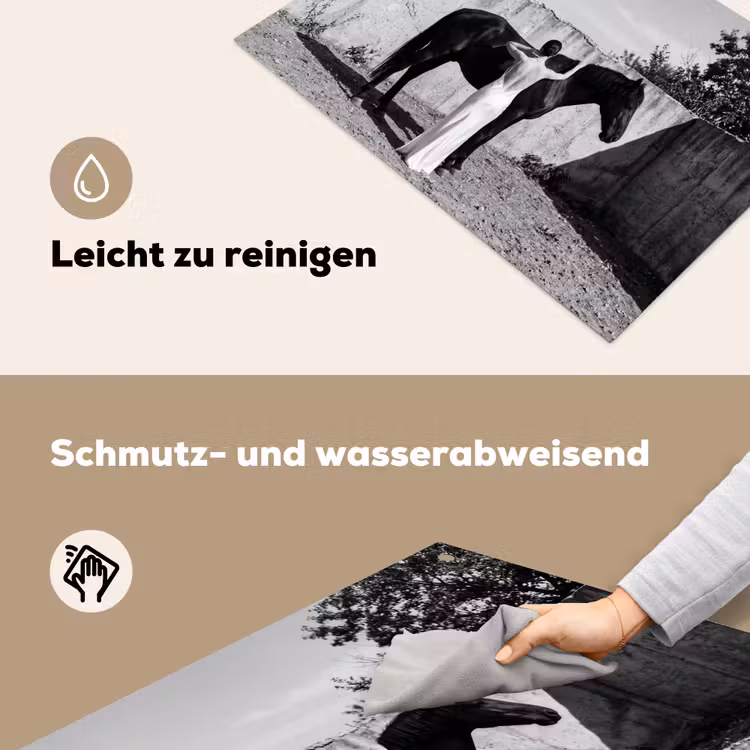 Vrouw - Paard - Artistiek Inductie beschemer met haakjes klein -ky-schoon-de