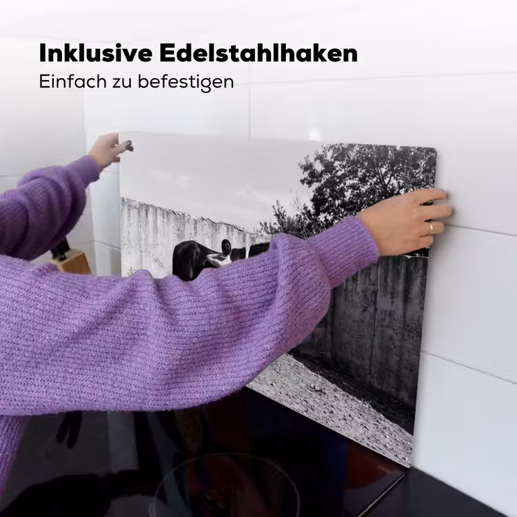 Vrouw - Paard - Artistiek Inductie beschemer met haakjes klein -ky-ophangen-de