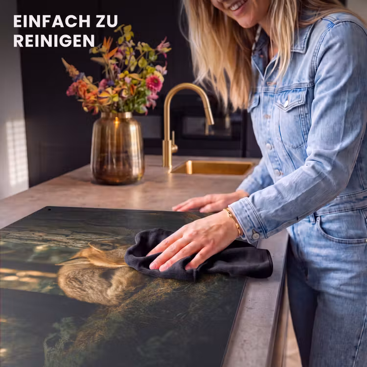 2-in-1 Herdabdeckplatte & Spritzschutz - Fuchs - Wald - Schlaf - Vos - Bos - Slapen Inductie beschemer met haakjes klein
