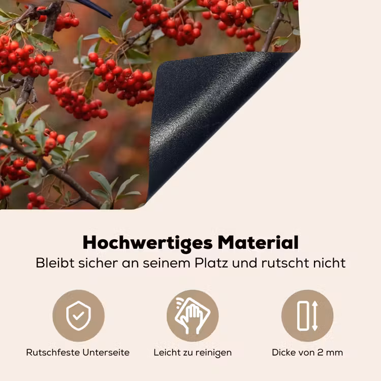 Goudvink - Bessen - Herfst - Natuur - Kleurrijk Inductie beschemer met haakjes klein -ky-onderkant-de