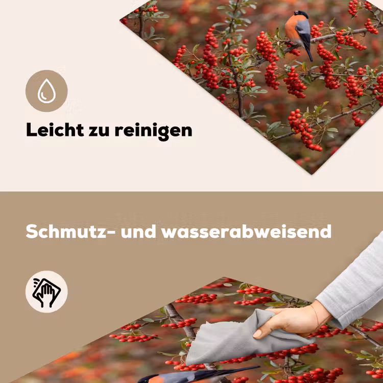 Goudvink - Bessen - Herfst - Natuur - Kleurrijk Inductie beschemer met haakjes klein -ky-schoon-de