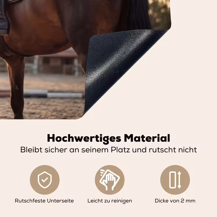 Harmonie - Ruiter - Zon Inductie beschemer met haakjes klein -ky-onderkant-de