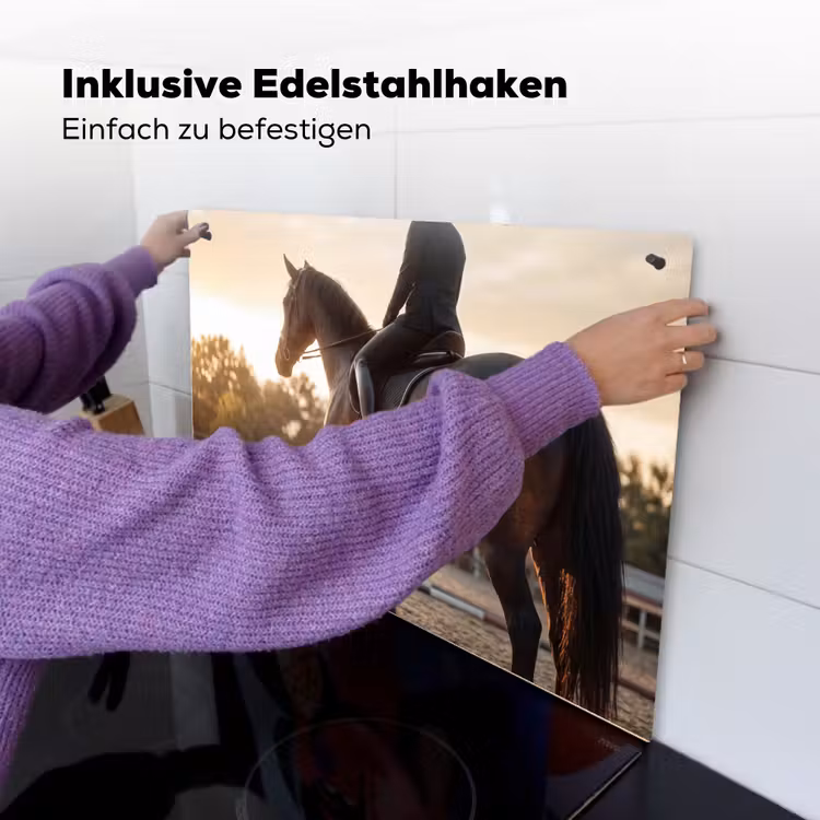 Harmonie - Ruiter - Zon Inductie beschemer met haakjes klein -ky-ophangen-de
