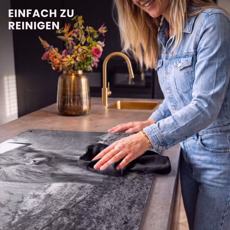 2-in-1 Herdabdeckplatte & Spritzschutz - Herrscher des Nebels - Heerser van de Mist Inductie beschemer met haakjes klein