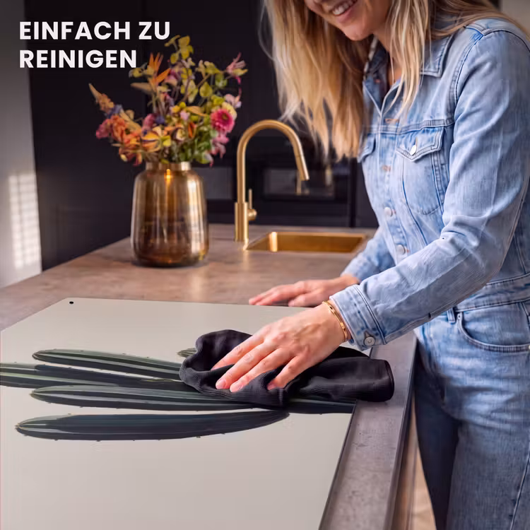 2-in-1 Herdabdeckplatte & Spritzschutz - Kaktus - Dezent - Grün - Cactus - Subtiel - Groen Inductie beschemer met haakjes klein