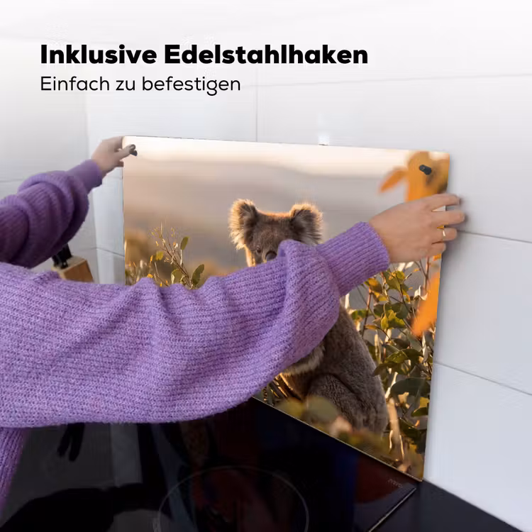 Koala - Bladeren - Ochtendlicht Inductie beschemer met haakjes klein -ky-ophangen-de
