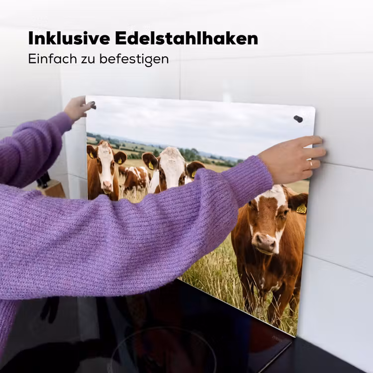 Koeien - Portret - Weide - Boerderij - Nieuwsgierig Inductie beschemer met haakjes klein -ky-ophangen-de