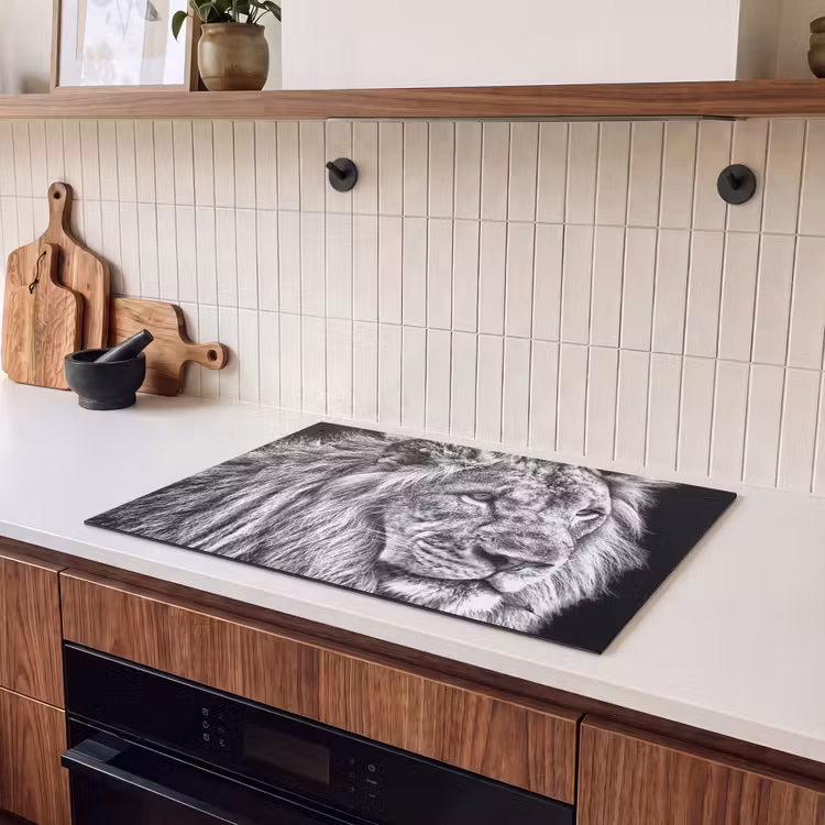 2-in-1 Herdabdeckplatte & Spritzschutz - Kupferstich eines Königs - Gravure van een Koning Inductie beschemer met haakjes klein
