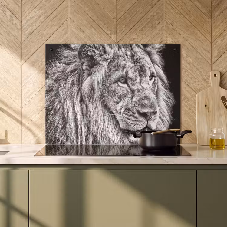 2-in-1 Herdabdeckplatte & Spritzschutz - Kupferstich eines Königs - Gravure van een Koning Inductie beschemer met haakjes klein