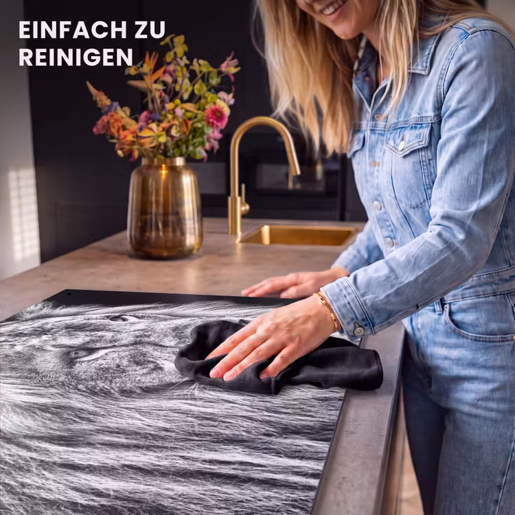 2-in-1 Herdabdeckplatte & Spritzschutz - Kupferstich eines Königs - Gravure van een Koning Inductie beschemer met haakjes klein