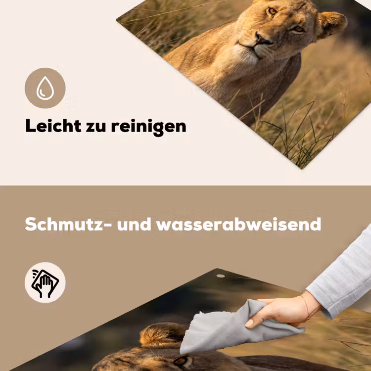 Leeuwin - Gras - Geel Inductie beschemer met haakjes klein -ky-schoon-de