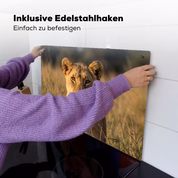 Leeuwin - Gras - Geel Inductie beschemer met haakjes klein -ky-ophangen-de
