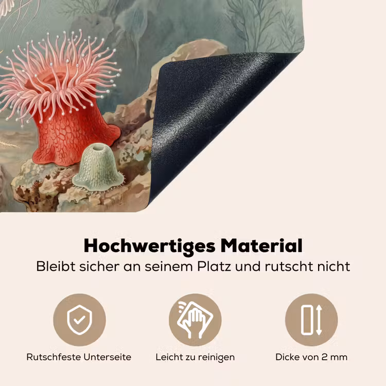 Zeeleven - Kwal - Onderwater - Illustratie - Beige Inductie beschemer met haakjes klein -ky-onderkant-de