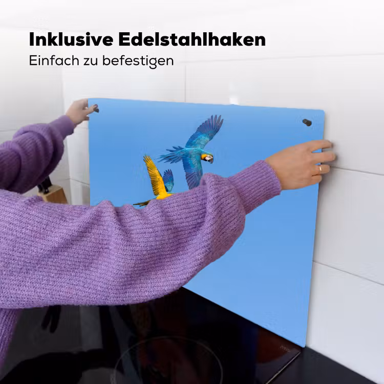 Papagaai - Vliegen - Blauw - Geel Inductie beschemer met haakjes klein -ky-ophangen-de
