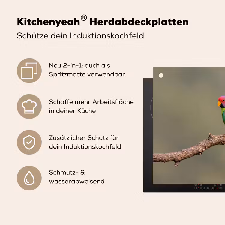Papagaai - Tak - Natuur - Kleurrijk Inductie beschemer met haakjes klein -ky-usp-de