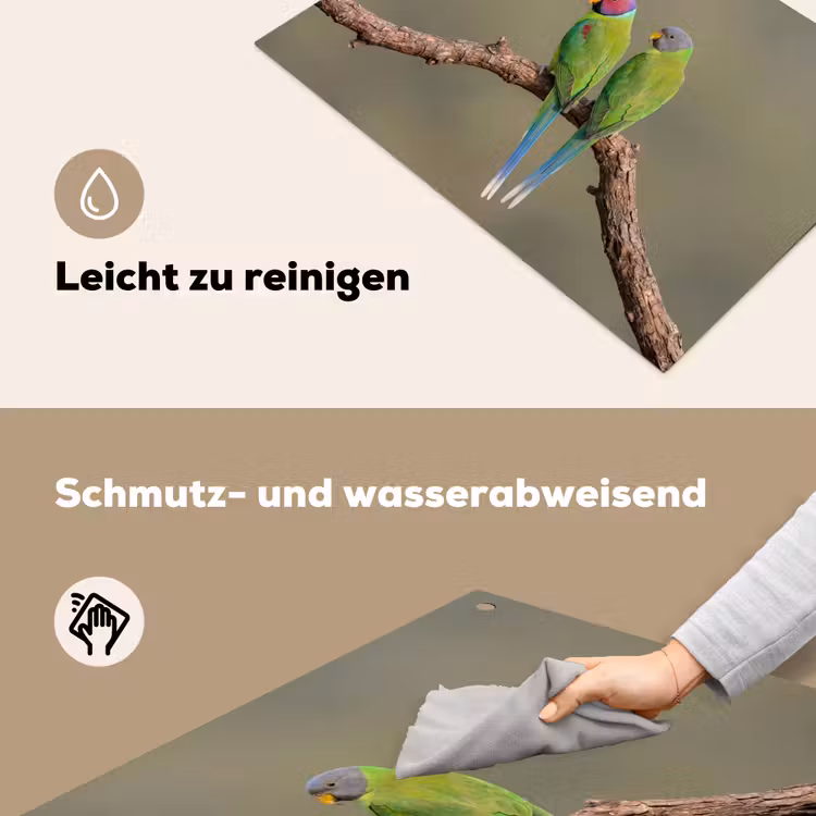 Papagaai - Tak - Natuur - Kleurrijk Inductie beschemer met haakjes klein -ky-schoon-de
