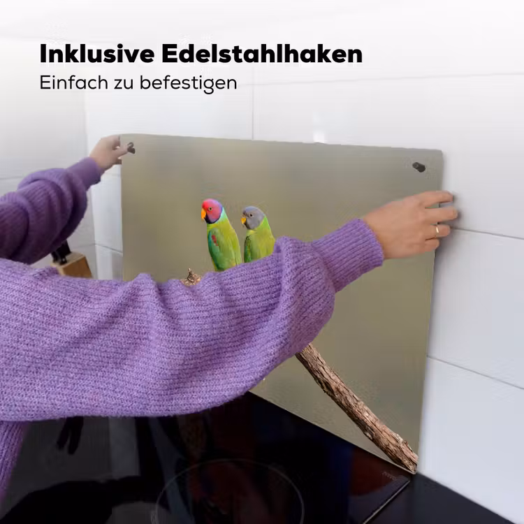 Papagaai - Tak - Natuur - Kleurrijk Inductie beschemer met haakjes klein -ky-ophangen-de